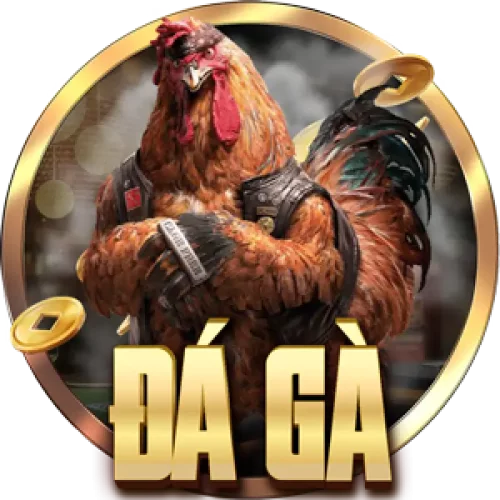 ảnh quảng cáo đá gà