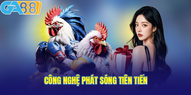 Fly88 cùng bộ máy đá con gà bao gồm gì độc lạ khi đối chiếu với nhiều sòng bạc khác - Trải nghiệm cao nhất trong cầm nạm giới cá online chọi kê