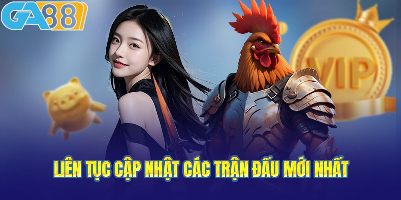 Trải nghiệm đá gà Fly88 bên dưới góc nhìn người căn nhà chơi cá 24/7}{đặt cược thực chất - Khám phá đỉnh chóp của nghệ thuật chọi con kê trong thị trường số